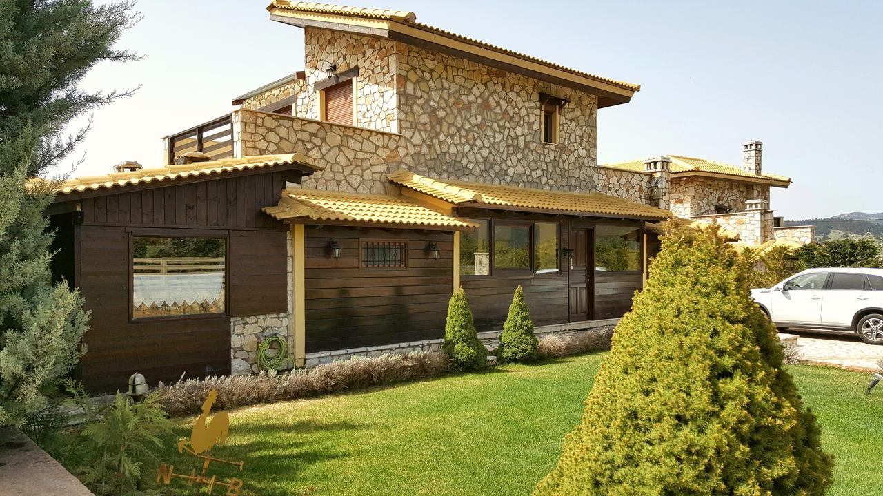 Mountain Chalet Livadi Арахова Экстерьер фото